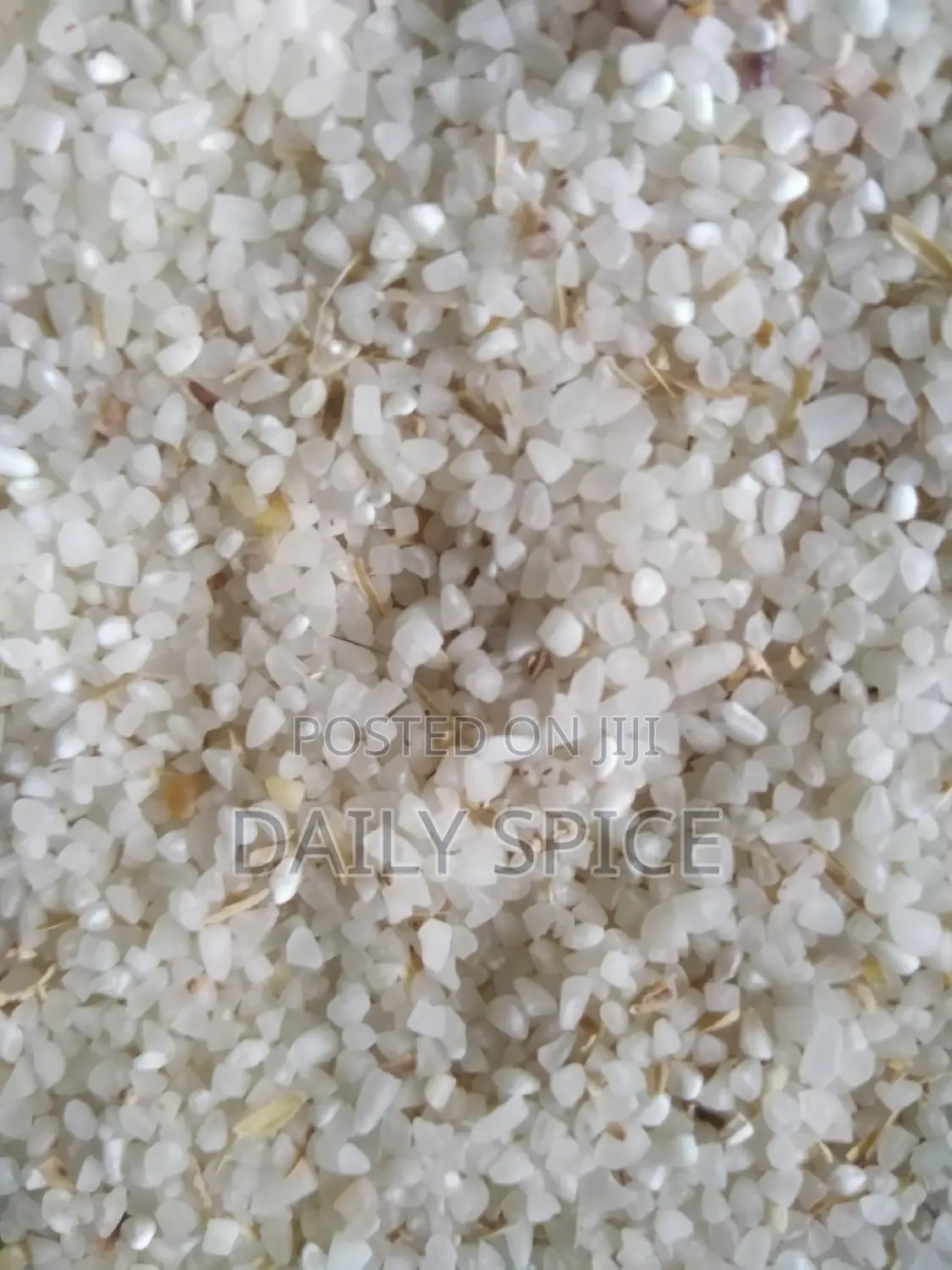 The Dog Rice
