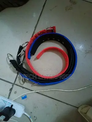 Dog Collar+Dog Collar