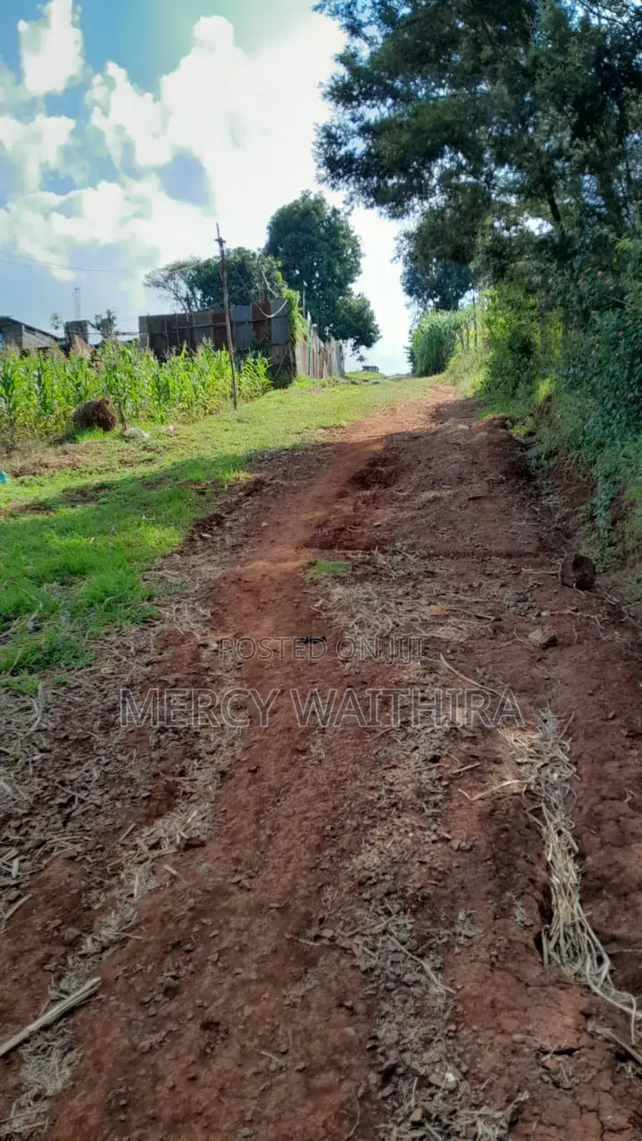 Plot for Sale in Wangige
