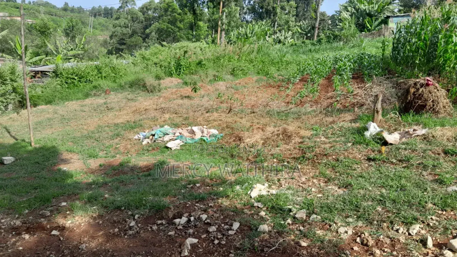 Plot for Sale in Wangige