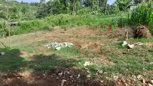 Plot for Sale in Wangige