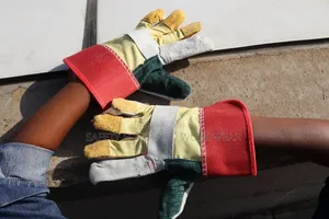 Wrist - Length Leather Gloves