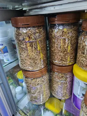 Shrimps Fish Feed