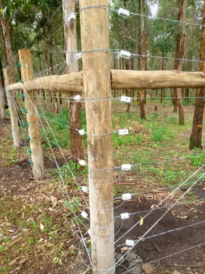 Electric Fence Installation for Plot LAND 50 by 100 Feet