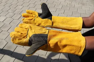 Long Leather Gloves
