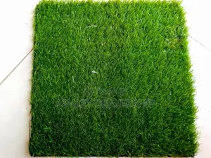 Artificial Grass