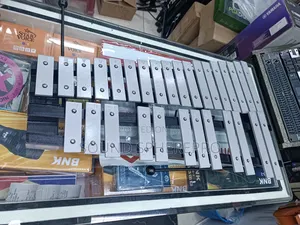 30 Note Xylophone With Case