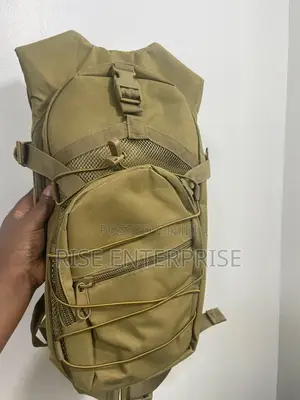 Camel Bag Backpack Brown With Water Bladder