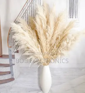 1.4m Long Natural Fluffy Pampas Grass