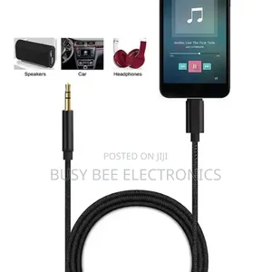 Type C to Aux Cable