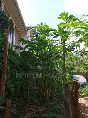 Prime Plot 0.0272 Hectares, Seasons,Kasarani