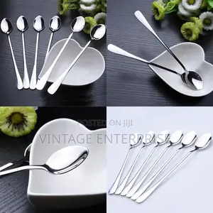 6pcs Set of Long Tea Spoon