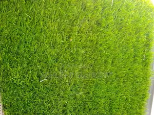 Grass Carpet