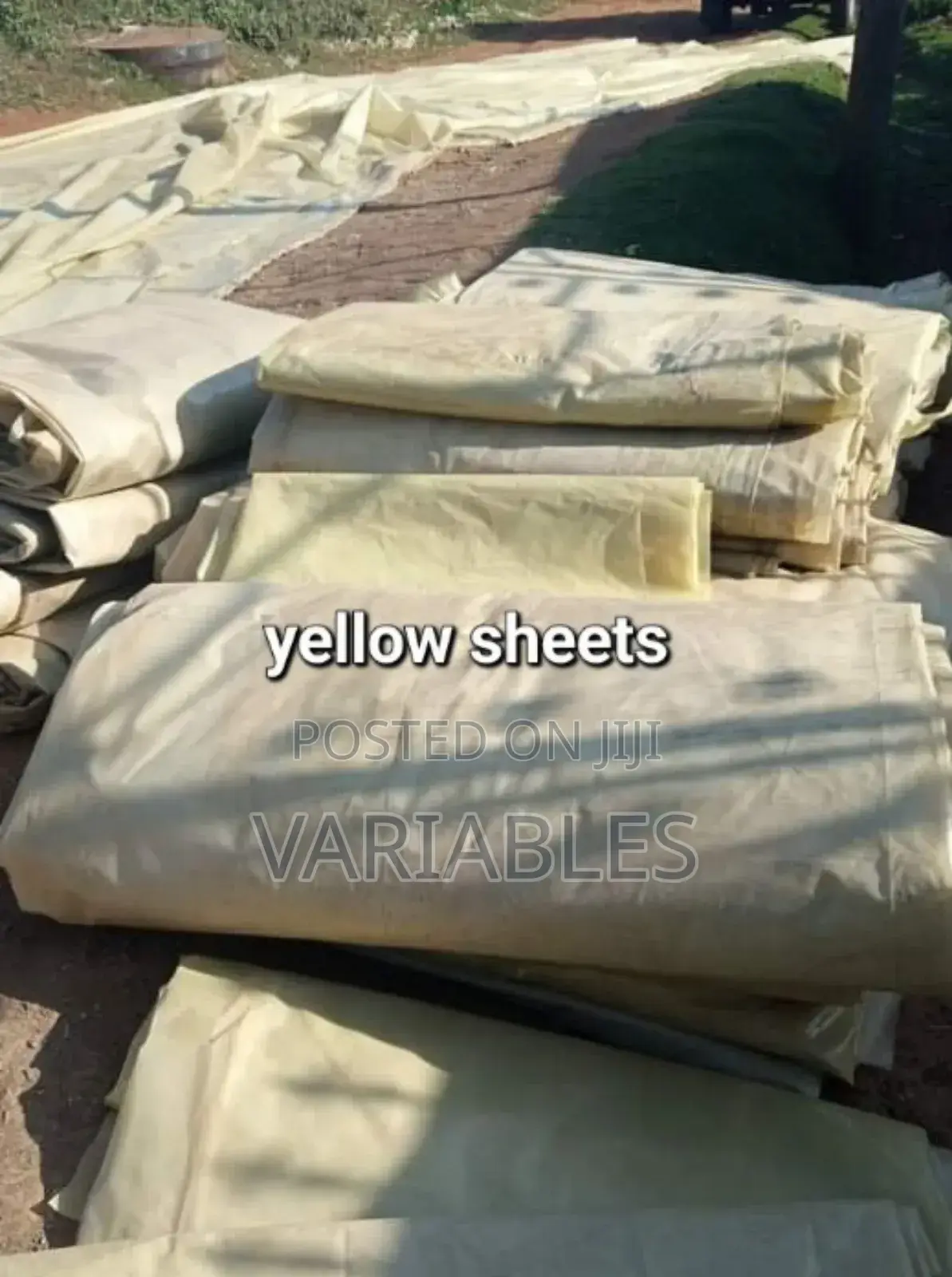 Greenhouse Polythene: Protects Plants, Regulates Temperature