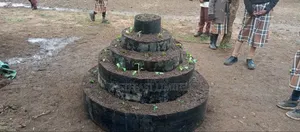 Vertical Conical Gardens
