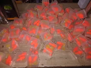 Ear Plugs