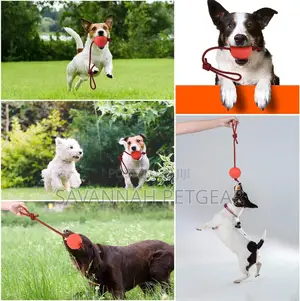 Pet Rubber Chew Toy Ball With Rope Interactive Training