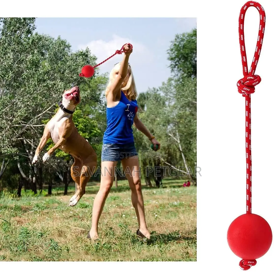 Pet Rubber Chew Toy Ball With Rope Interactive Training
