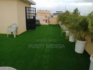 Pretty Good Looking Grass Carpet