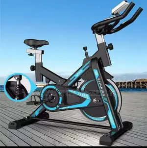 15kg Flywheel Domestic Spinning Bikes