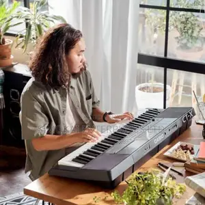 Casio CT-X800 Digital Keyboard With Aix Sounds