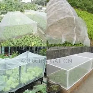 Grow Lettuce, Pest-Free" - Healthier Crops Guaranteed