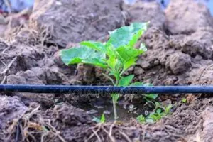 Efficient Driplines for Water-Saving Irrigation"