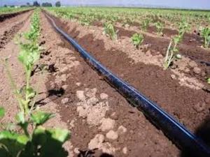 Uv-Resistant Driplines for Long-Term Use