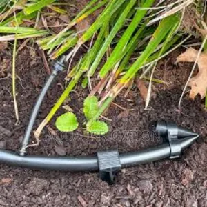 Driplines Designed for Banana Plantations