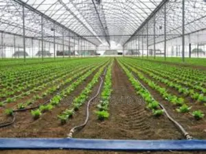 Premium Driplines for Long-Term Irrigation"