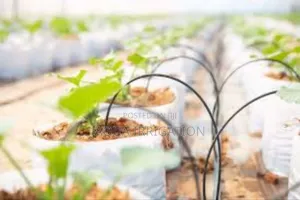 Upgrade Your Irrigation System Today!"