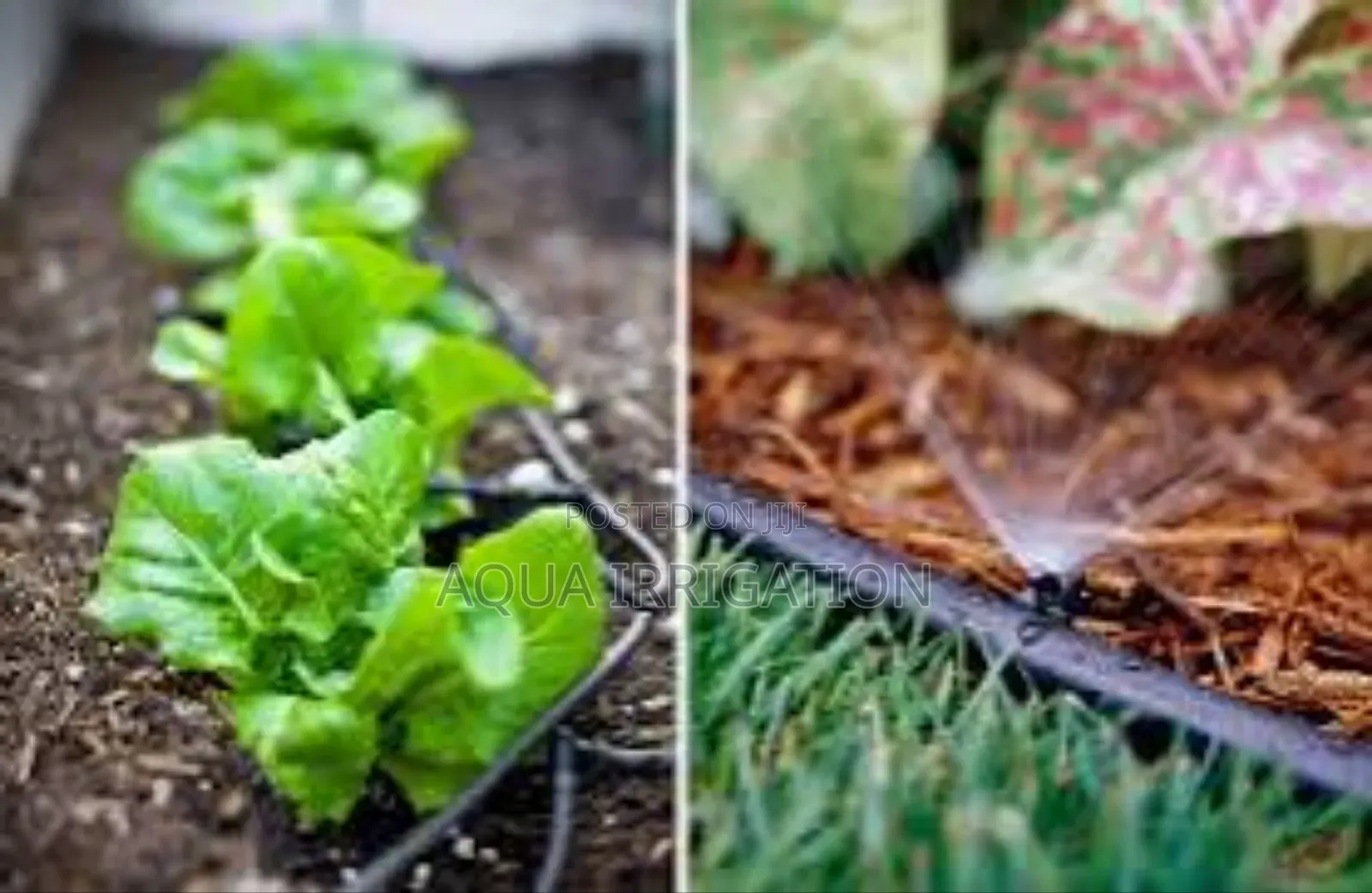 Smart Driplines for Consistent Irrigation