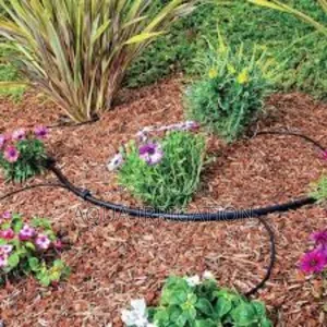 Get Reliable Driplines Delivered Fast!"