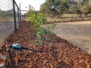 Upgrade Your Farm With Efficient Driplines"