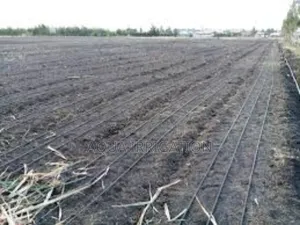 Perfect Irrigation Starts With Our Driplines