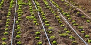 Precision Engineering for Better Irrigation"