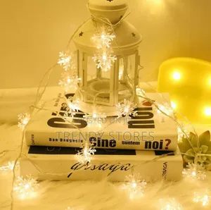Snow Flake Fairy Lights