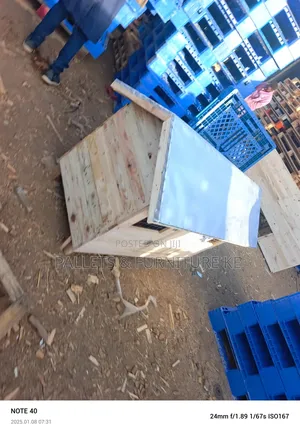 Dog House/Puppy House