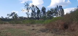 100 by 100 Plot on Garissa Road
