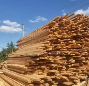Quality Timber in Kisumu for All Your Construction Needs
