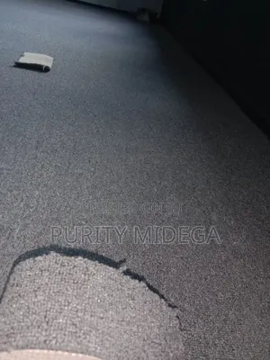 Light Grey Wall to Wall Carpets