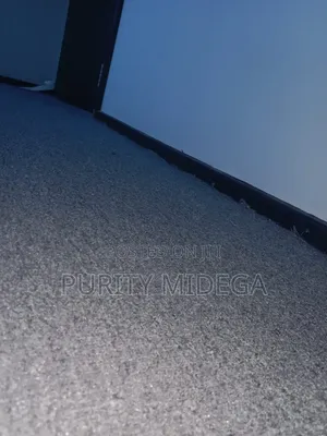 Light Grey Wall to Wall Carpets