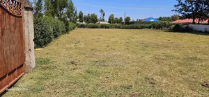 Prime Plots For Sale In Annex Blossom In Eldoret