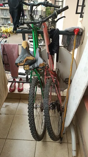 Sport Bicycles 2no
