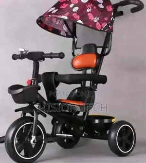 Tricycle With Canopy