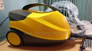 Steam Cleaning Machine Commercial Multipurpose Services