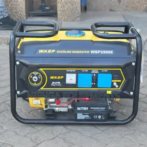 Wsp2500e Wasp Generator 2.5 Kw