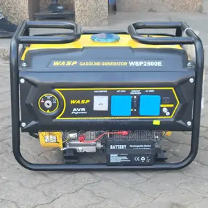 Wasp 6.5 Hp Generator