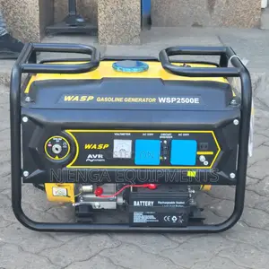Wasp WSP2500E 2.5kw Generator