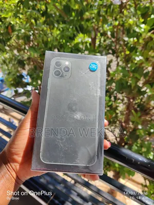 Apple iPhone 11 Pro Max 256 GB Gray